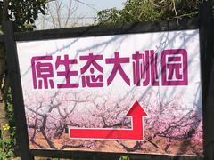 -南汇桃花村