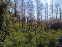 iphone_upload_pic-新江湾城公园