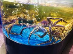 -蟹之国·精品蟹料理(极地店)