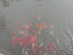 -南漈山