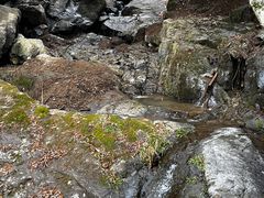 -藏龙百瀑风景区