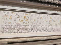 -武清南湖绿博园