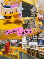 -乐高授权专卖店(浦东嘉里城店)