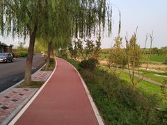 -洨河生态公园