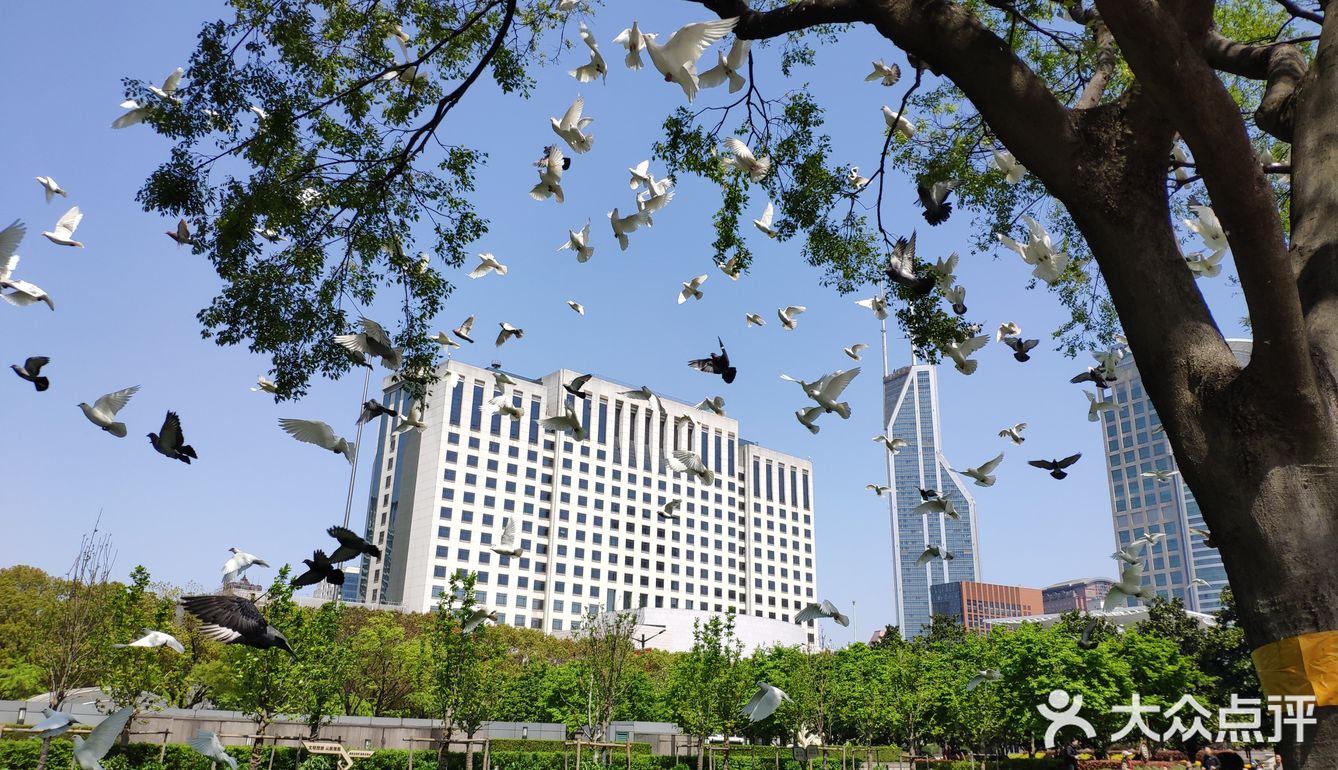 上海零点再起飞,归来是否仍是少年?