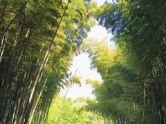 -同里国家湿地公园