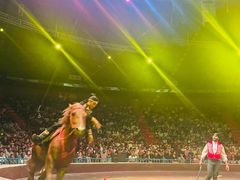 -俄罗斯国家大马戏团