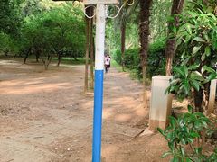 -武汉大学-樱园