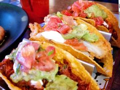 -Famous肥猫墨西哥音乐餐吧(五棵松华熙LIVE店)