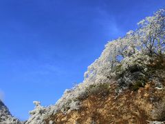 -秦岭风景区