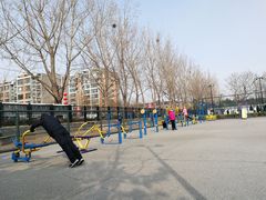 -东升文体公园