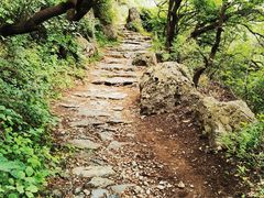 -阳台山自然风景区