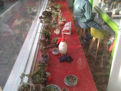 -中国电信(泰兴路店)