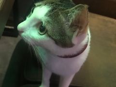 -蜉蝣酒吧(仓山万达店)