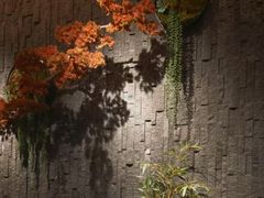 -龙宴海鲜城(经中路店)