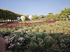 -广东花都香草世界旅游度假区