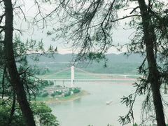 -南山植物园