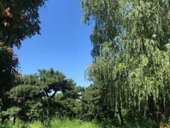 -北京西山国家森林公园