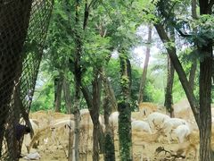 -秦皇岛野生动物园