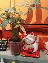 -Dr.林醫生产后修复·超级店(南京江宁同曦店)