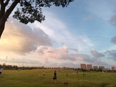 -漕湖湿地公园