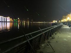 -北江夜游黄金1号1029豪华游艇