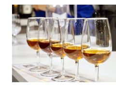 -新加坡文华东方酒店