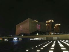 -南京眼步行桥