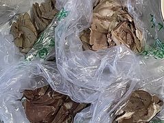 羊头肉-洪记白水羊头(留学路店)
