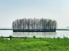 -无锡新湖铂尔曼大酒店