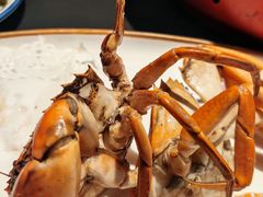 -鑫悦楼煎蟹·16年海鲜大排档