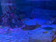 -沈阳海洋探索中心