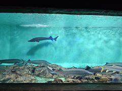 -太平洋海底世界