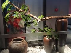 -蜀九香火锅(江油店)