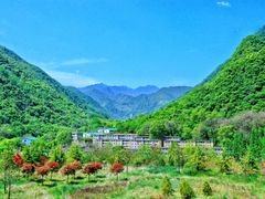 -太平万花山景区