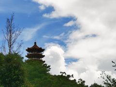 -深圳仙湖植物园