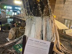 -重庆十八梯传统风貌区