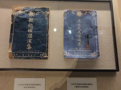 -长洲岛