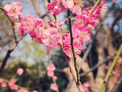 -静安雕塑公园
