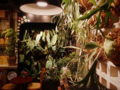 -自由生长植物工作室(深港花卉中心店)
