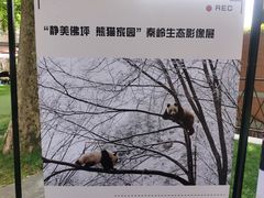 -西安电影制片厂