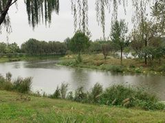 -东郊湿地公园