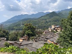 -杨家堂村