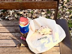 -汉长安城未央宫国家考古遗址公园