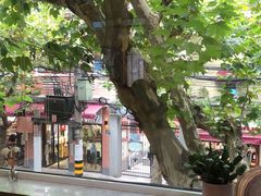 -蝶舍·MAISON PAPILLON