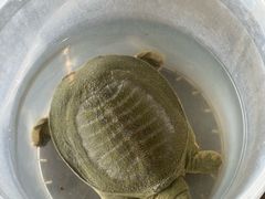 -粮心小农·大头虾亲子生态园(长发店)