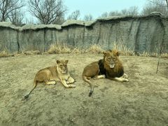 -北京野生动物园