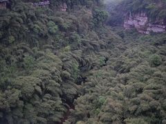 -川西竹海景区