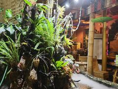 -多哥水傣味餐厅(司马巷店)