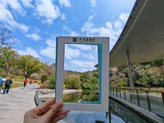 -云溪植物园